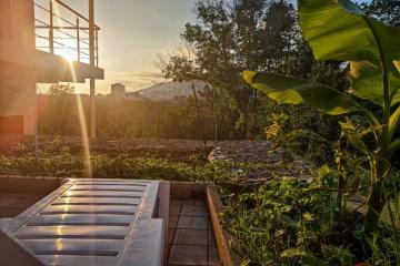 Отель Town Park Россия, Сочи, фото 12