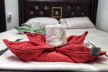 Отель Town Park Россия, Сочи, фото 3