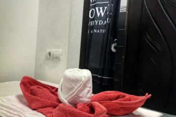 Отель Town Park Россия, Сочи, фото 5