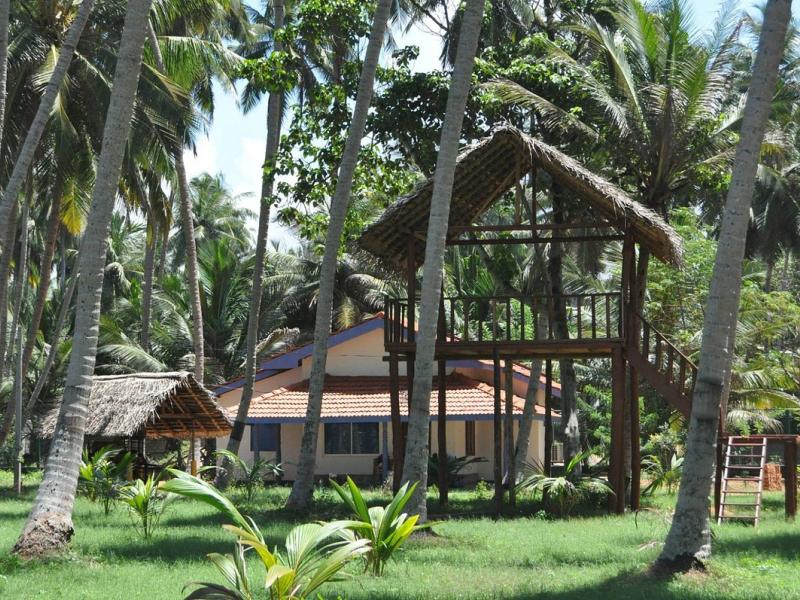 Blue And Green Resort