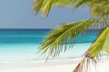 Отель Tikitam Palms Boutique Hotel Танзания, о Занзибар, фото 23