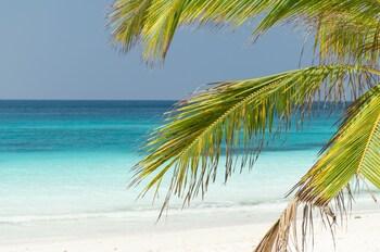 Tikitam Palms Boutique Hotel
