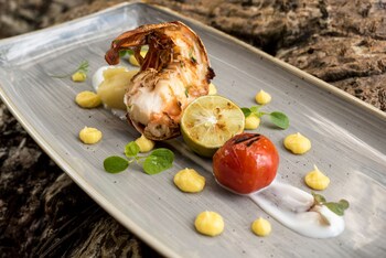 Отель Tikitam Palms Boutique Hotel Танзания, о Занзибар, фото 70