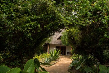 Отель Tikitam Palms Boutique Hotel Танзания, о Занзибар, фото 76