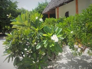 Tikitam Palms Boutique Hotel