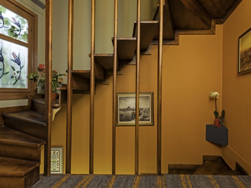 Wonder Wood Hotel