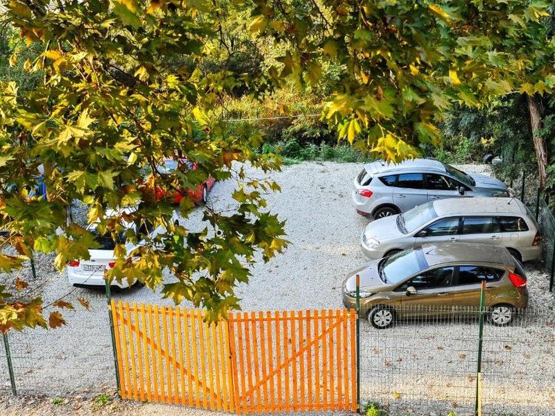 Сашенька (Южная Озереевка)