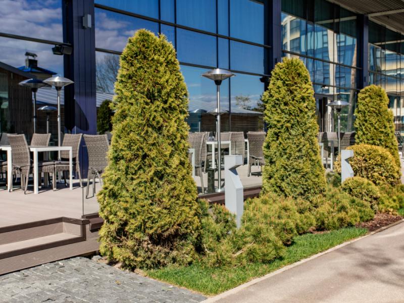 X-Clinic (Репино)