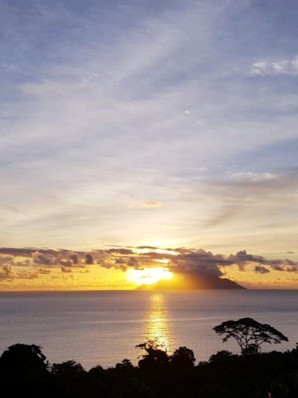 Calm Sorento