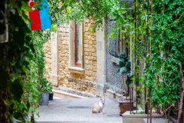 Отель Qala Hotel Азербайджан, Баку, фото 21