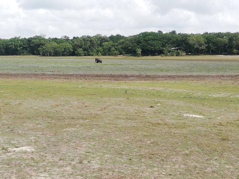 The Blue Lagoon Resort Kalpitiya