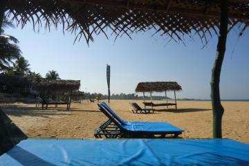 Отель Whitepearl Beach Шри-Ланка, Хиккадува, фото 13