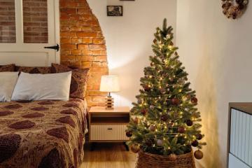 Отель Апартаменты на переулке 2-й Саратовский 3 Россия, Зеленоградск, фото 2