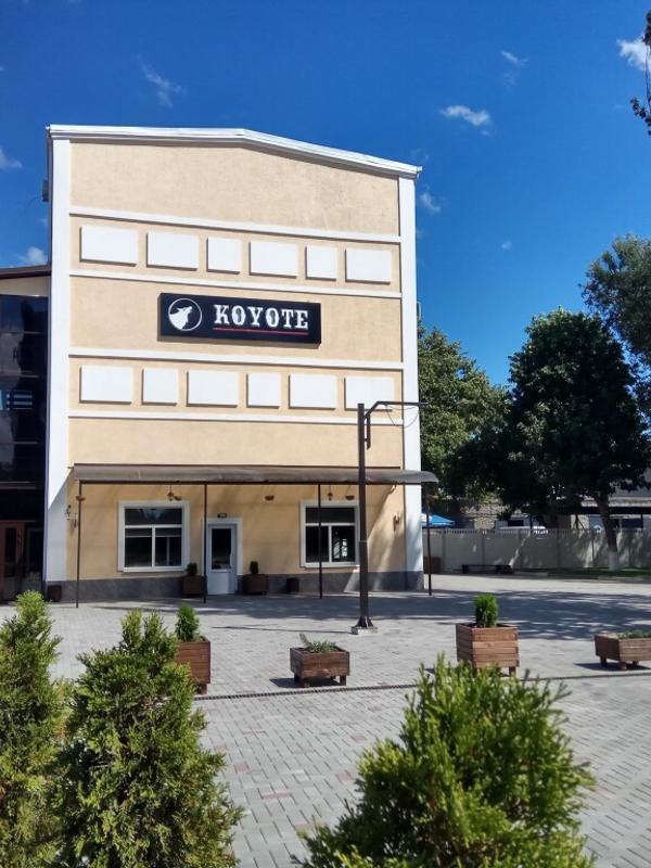 Koyote