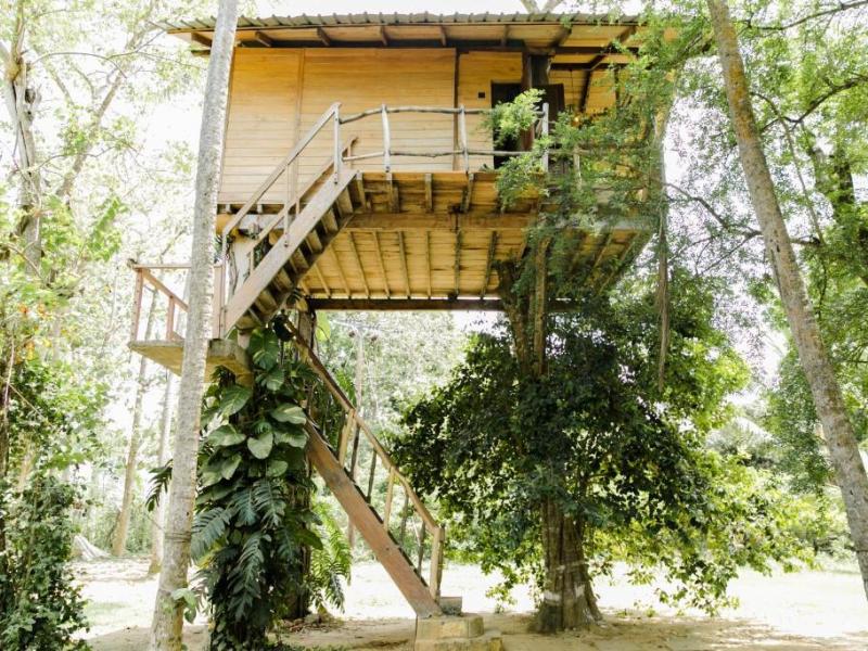 Nuga Eden Tangalle