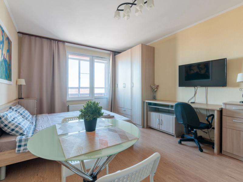 Sutki Rent с видом на Охту
