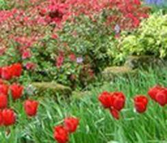 Huygens Place Amsterdam