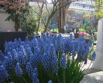 Huygens Place Amsterdam