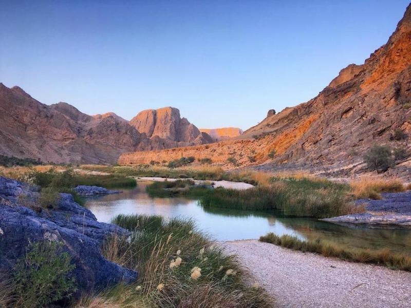 Wadi Alarbeieen Resort