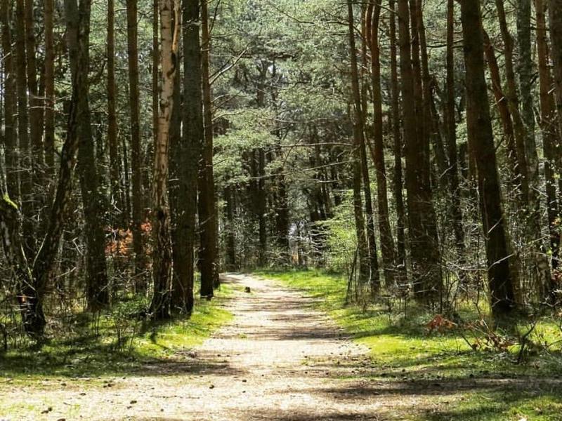 Фазенда у моря (Заостровье)