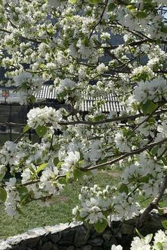 Отель Дежавю База отдыха (Узнезя) Россия, Республика Алтай, фото 15