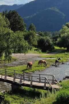 Отель Дежавю База отдыха (Узнезя) Россия, Республика Алтай, фото 17
