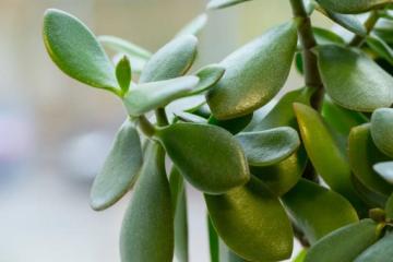 Отель Хостел Bauhaus Россия, Санкт-Петербург, фото 30