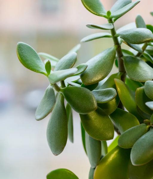 Хостел Bauhaus