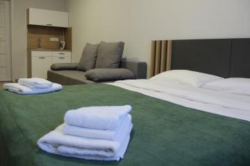 Отель Demidov Hotel Россия, Барнаул, фото 8