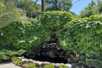 Отель Лотос Россия, Лоо, фото 20