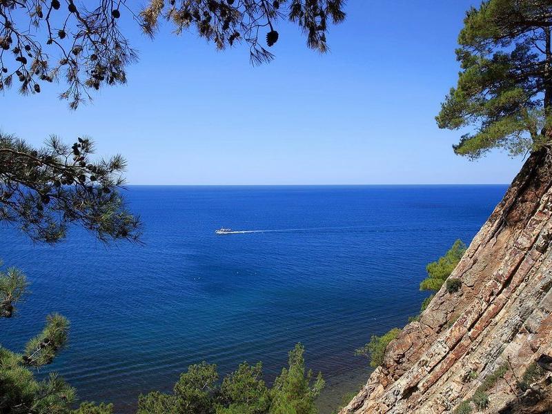 Друзья (Дивноморское)