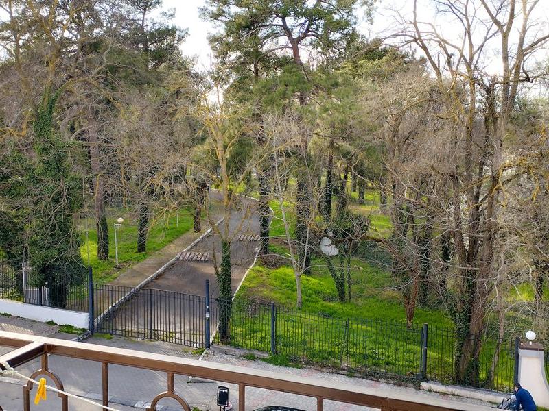 Друзья (Дивноморское)