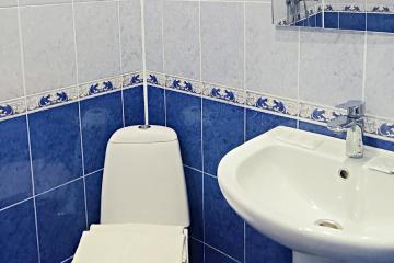 Отель Багира гостевой дом (Дивноморское) Россия, Геленджик, фото 91