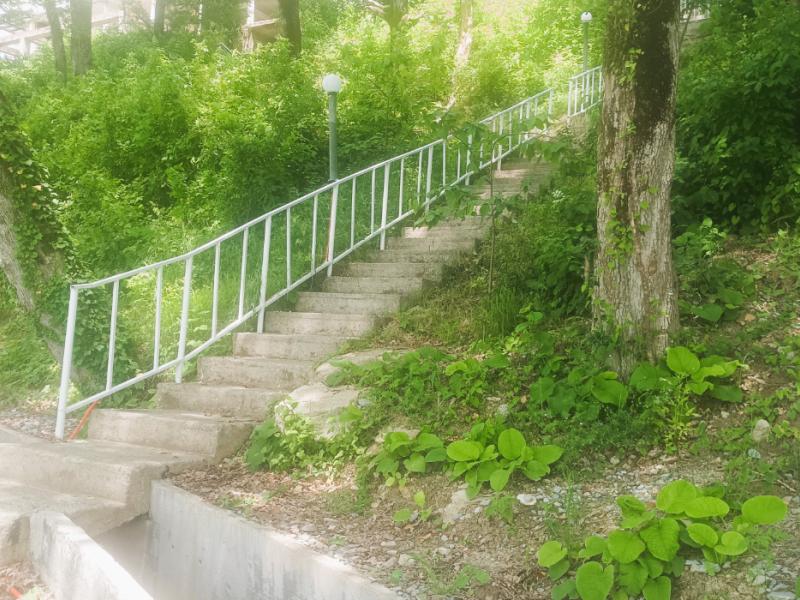 Отель Green