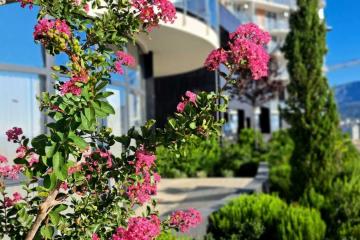 Отель Крымский Рей Апарт-Отель Россия, Алушта, фото 40