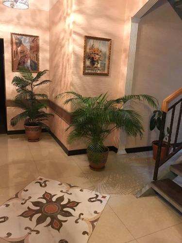 Центральная