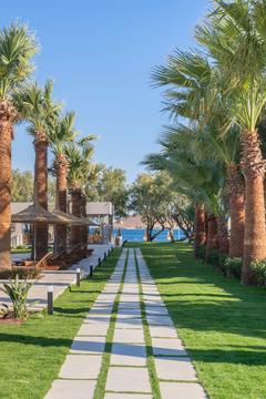 Отель Regia Mare Beach Hotel Bodrum Турция, Бодрум, фото 12