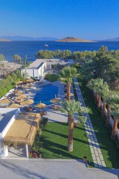 Отель Regia Mare Beach Hotel Bodrum Турция, Бодрум, фото 2