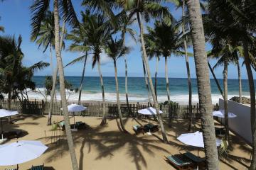 Отель The Beach Hotel Oasis Bridge (Ambalangoda) Шри-Ланка, Галле, фото 2