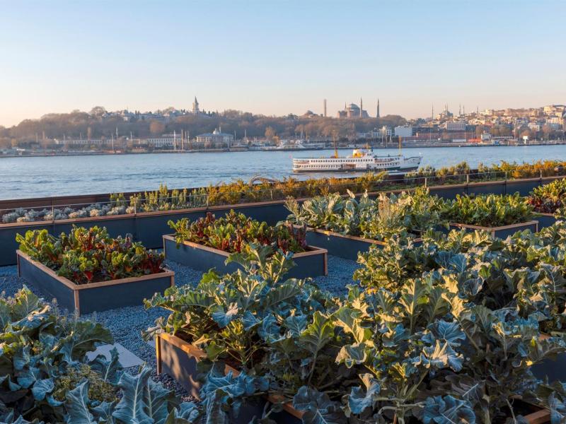 The Peninsula Istanbul