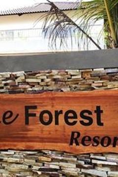 Отель Le Forest Resort Вьетнам, Фукуок, фото 18