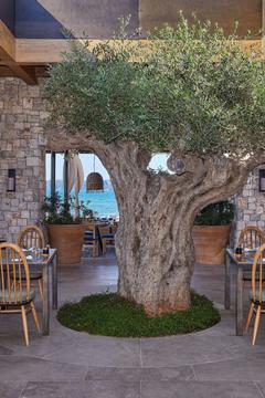 Отель W Costa Navarino Греция, Пелопоннес, фото 126