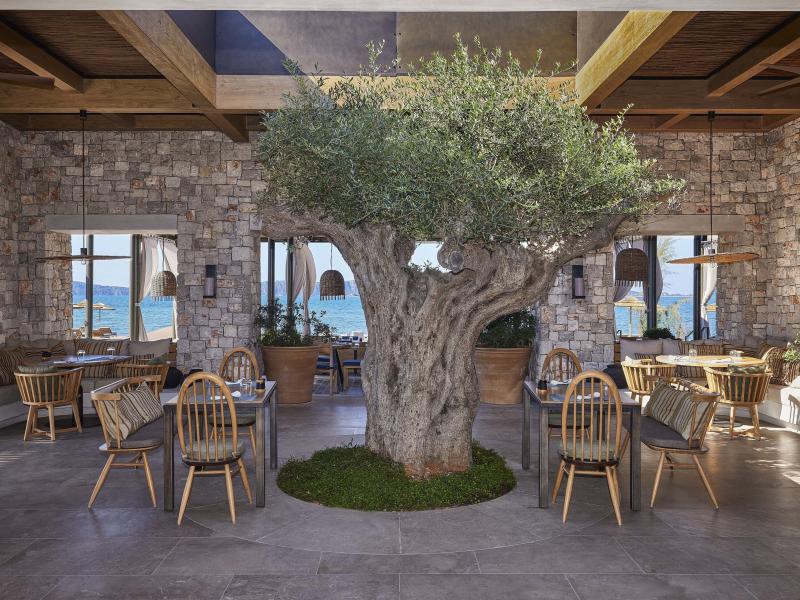 W Costa Navarino