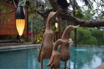 Korurua Dijiwa Ubud