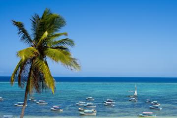 Отель Alladin Beach Hotel & SPA Zanzibar Танзания, Матемве, фото 12