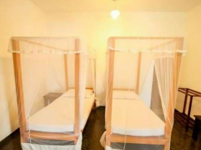 New White Surfing Habaraduwa