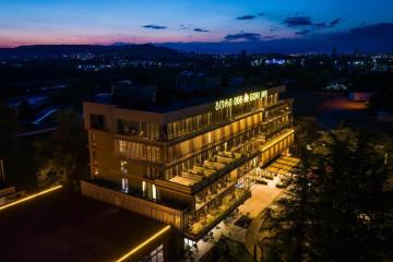 Отель Gori Inn Грузия, , фото 9