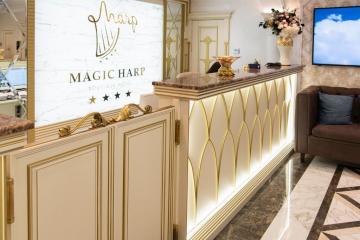 Отель Magic Harp Россия, Москва, фото 6