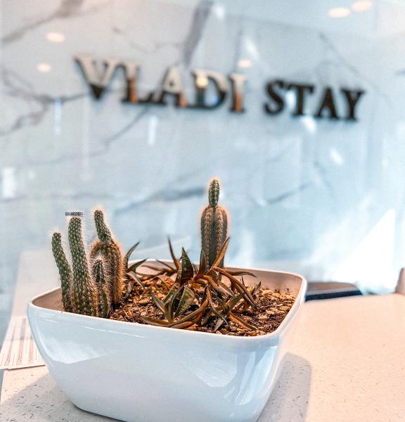 Vladi Stay