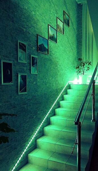 Eco House